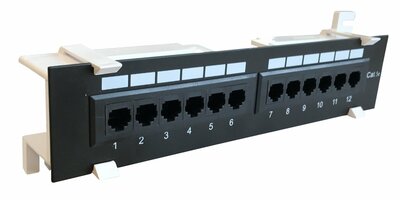 CAT5e UTP Wallmount Patchpaneel - 12 poorts