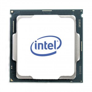 Intel BX8069510900X Intel® Core™ i9-10900X, LGA2066, 3.7/4.5 GHz, 10-Core HTT, 19.25 MB, 165 W