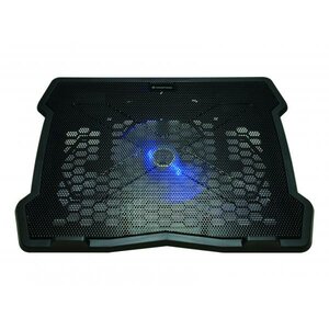 Conceptronic THANA05B Laptop Cooling Pad, 39.6 cm (15.6") 1 fan, 12.5 cm, 265 mm, Black/ Blue