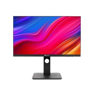 Neovo DW-2401 24inch WQHD 1440p IPS LED, 2560x1440, 300cd/m2, 1000:1,HDMI, DisplayPort, USB-C (65W)